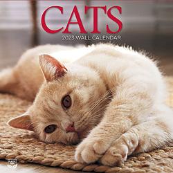 Foto van Cats kalender 2023 tl turner