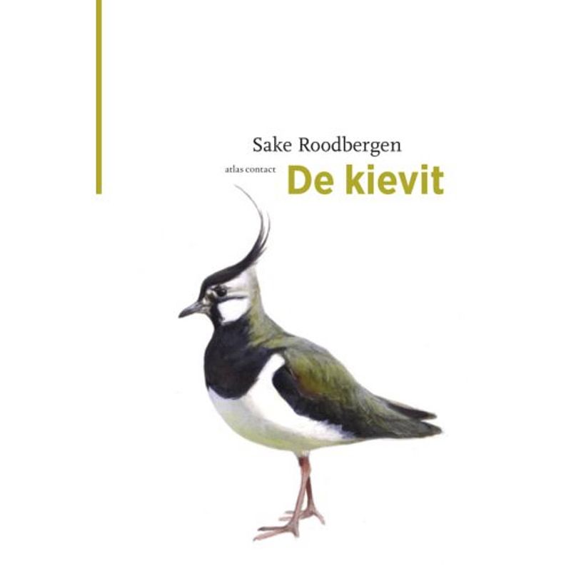 Foto van De kievit - de vogelserie