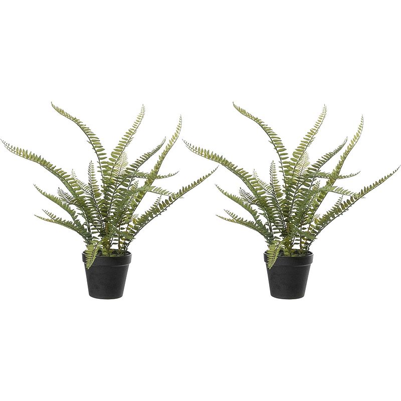 Foto van Varen nephrolepis - 2x stuks - kunstplant - groen - 50 cm - kunstplanten