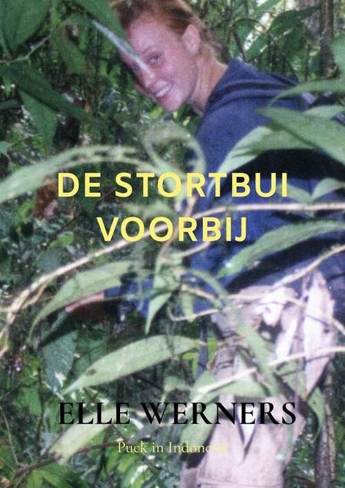 Foto van De stortbui voorbij - elle werners - paperback (9789464856163)