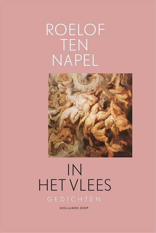 Foto van In het vlees - roelof ten napel - ebook (9789048853588)