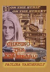 Foto van Chasing the heartland - paulina vanderbilt - paperback (9789462473140)