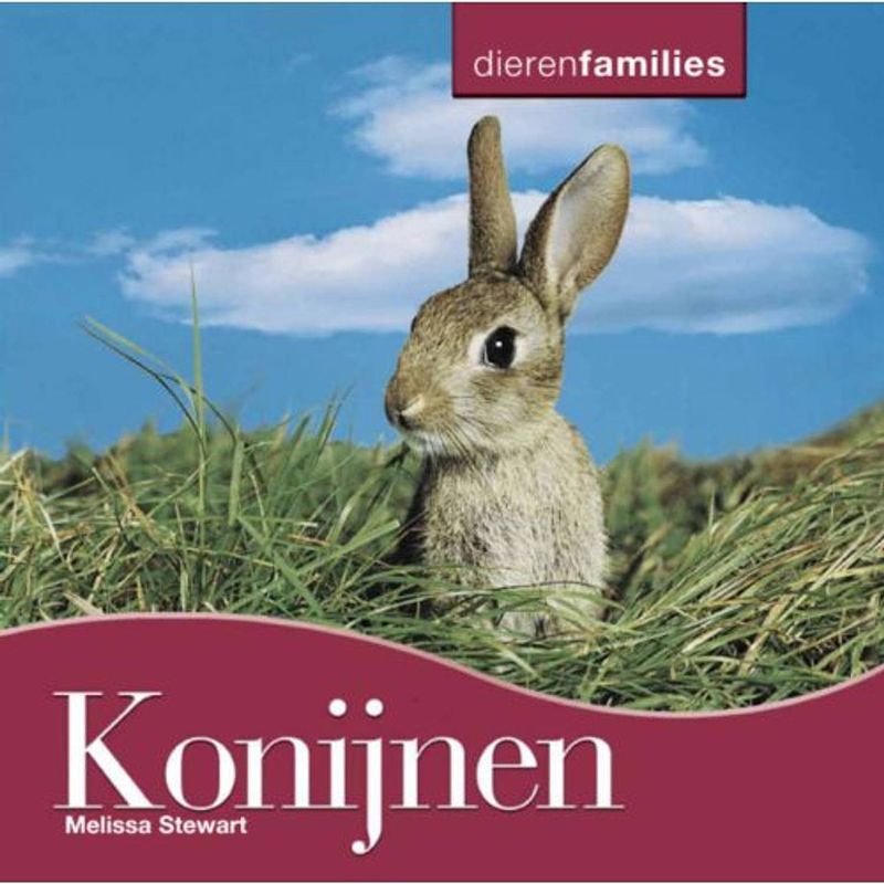 Foto van Konijnen - dierenfamilies