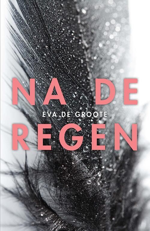 Foto van Na de regen - eva de groote - ebook (9789460415906)