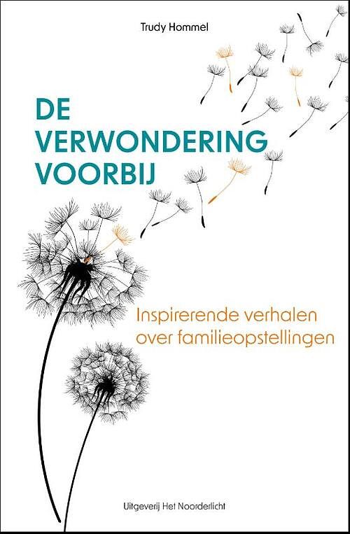 Foto van De verwondering voorbij - trudy hommel - paperback (9789083344775)