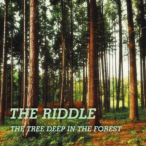 Foto van The tree deep in in the forest - cd (7438205693636)