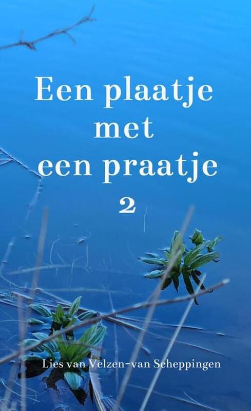 Foto van Een plaatje met een praatje 2 - lies van velzen-van scheppingen - paperback (9789464651201)