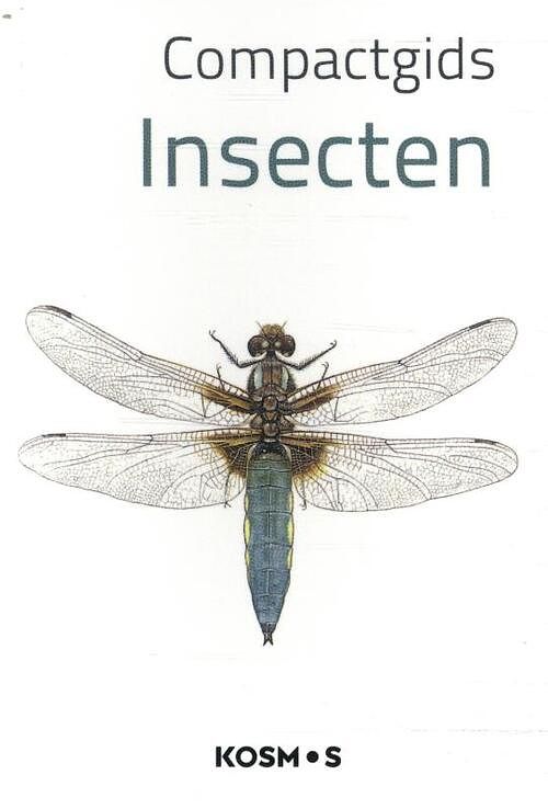 Foto van Compactgids insecten - paperback (9789043927789)