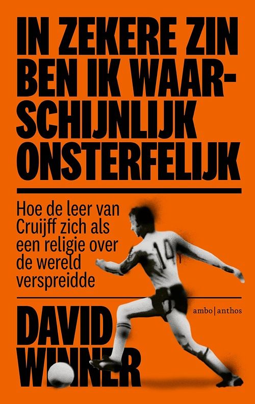 Foto van In zekere zin ben ik waarschijnlijk onsterfelijk - david winner - ebook