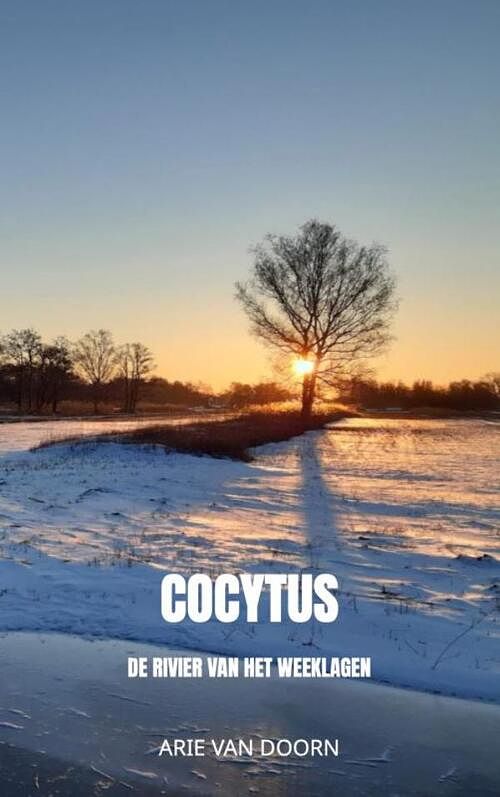 Foto van Cocytus - arie van doorn - paperback (9789464922141)