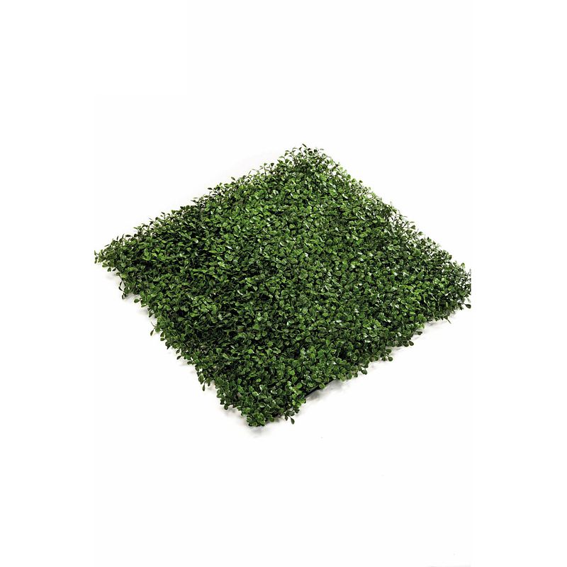 Foto van Kunsthaag buxus 50x50cm uv