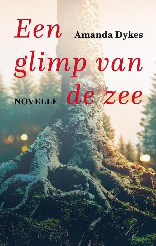 Foto van Een glimp van de zee (e-book) - amanda dykes - ebook (9789051946130)