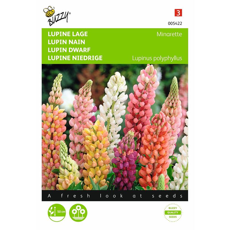 Foto van 2 stuks lupinus polyphyllus russel s minarette gemengd