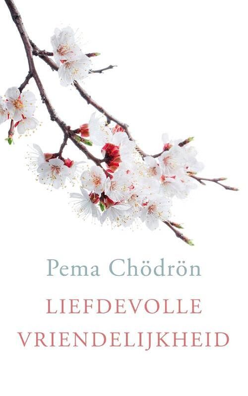 Foto van Liefdevolle vriendelijkheid - pema chödrön - ebook (9789025904142)