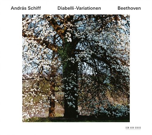 Foto van Ludwig van beethoven: diabelli-vari - cd (0028948104468)