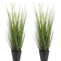 Foto van Set van 2x stuks kunstplanten groen gras sprieten 53 cm. - kunstplanten