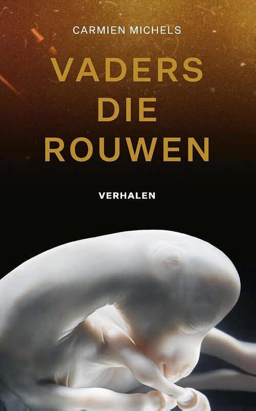 Foto van Vaders die rouwen - carmien michels - ebook (9789021426921)