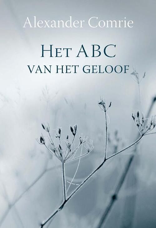 Foto van Het abc van het geloof - alexander comrie - ebook (9789462782129)