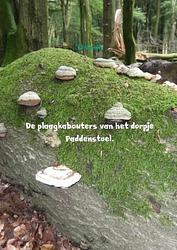 Foto van De plaagkabouters van het dorpje paddenstoel. - el varón - paperback (9789402158502)