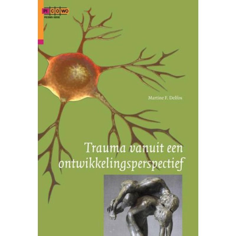 Foto van Trauma vanuit een ontwikkelingsperspectief