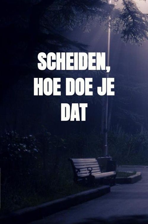 Foto van Scheiden, hoe doe je dat - r.m. van schaik - ebook