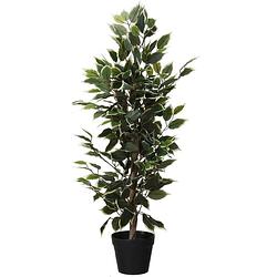 Foto van Kunstplant ficus groen/wit 95 cm - kunstplanten