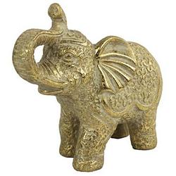 Foto van Tom beeld olifant hanno 20 x 9,5 cm keramiek goud