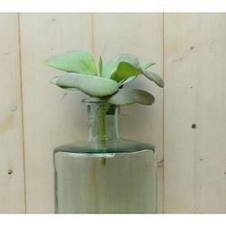 Foto van Warentuin mix - kunstvetplant op steker 20 cm