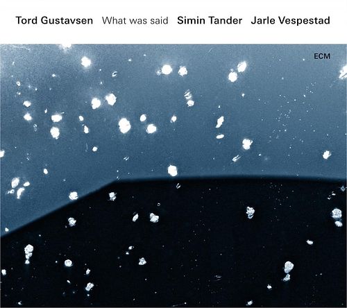 Foto van What was said - lp (0602547665324)