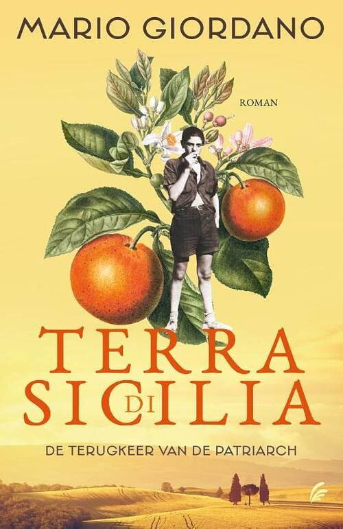 Foto van Terra di sicilia - mario giordano - paperback (9789056727239)