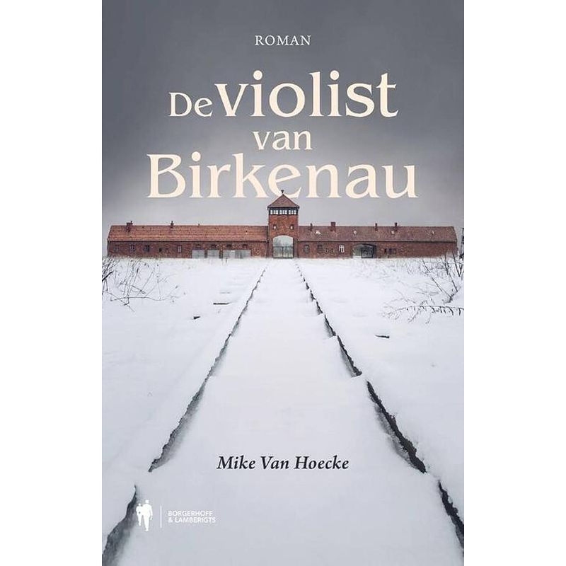 Foto van De violist van birkenau