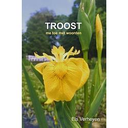 Foto van Troost