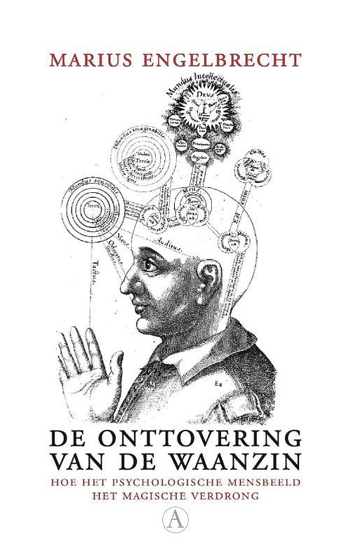 Foto van De onttovering van de waanzin - marius engelbrecht - ebook (9789025369972)