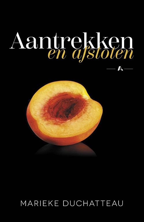 Foto van Aantrekken en afstoten - marieke duchatteau - ebook