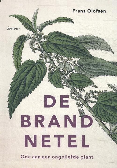 Foto van De brandnetel - frans olofsen - paperback (9789060389713)