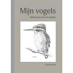 Foto van Mijn vogels