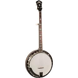 Foto van Recording king madison rk-r35-br 5-snarige esdoorn resonator banjo met tone ring en armsteun