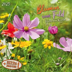 Foto van Flowers from the field kalender 2023