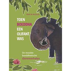 Foto van Toen boeddha een olifant was