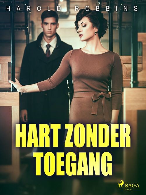 Foto van Hart zonder toegang - harold robbins - ebook