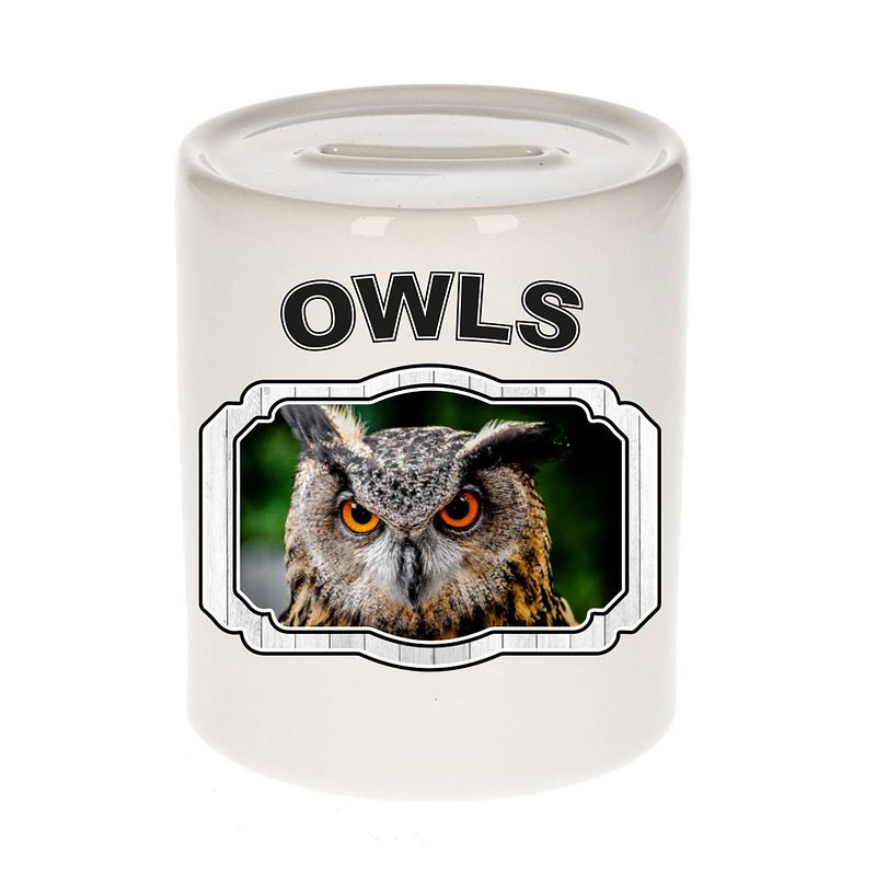 Foto van Dieren uil spaarpot - owls/ uilen spaarpotten kinderen 9 cm - spaarpotten