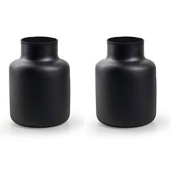 Foto van 2x stuks bloemenvazen - fles model - eco glas zwart - h20 x d14.5 cm - vazen