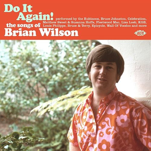 Foto van Do it again! - the songs of brian wilson - cd (0029667106221)