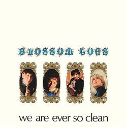 Foto van We are ever so clean - lp (5013929478510)