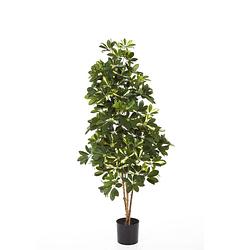 Foto van Kunstplant schefflera - 110 cm