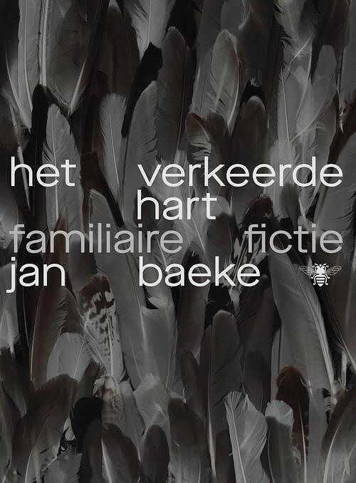 Foto van Het verkeerde hart - jan baeke - ebook (9789403175416)