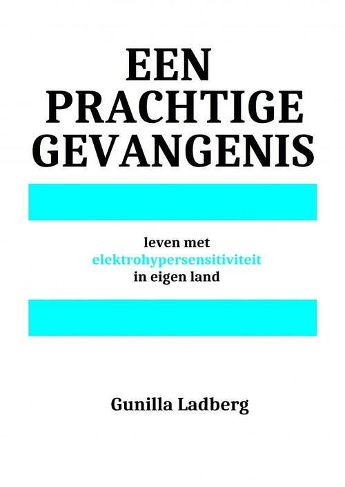 Foto van Een prachtige gevangenis - gunilla ladberg - paperback (9789403683331)