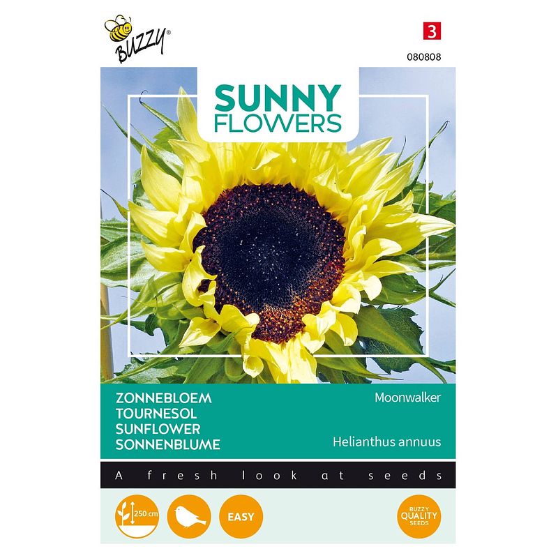 Foto van 3 stuks sunny flowers moonwalker