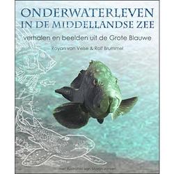 Foto van Onderwaterleven in de middellandse zee