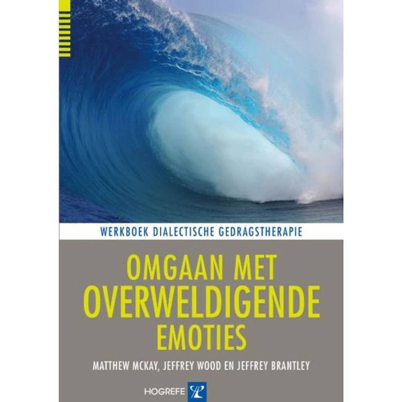 Foto van Omgaan met overweldigende emoties